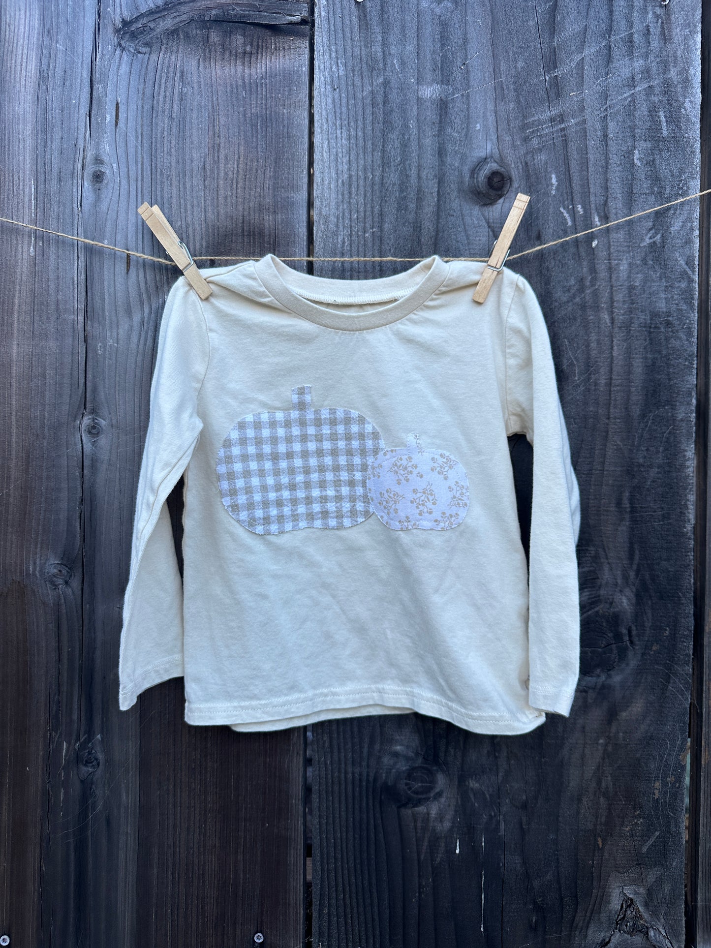 Fall Neutral Gingham & Floral Pumpkins, 2T