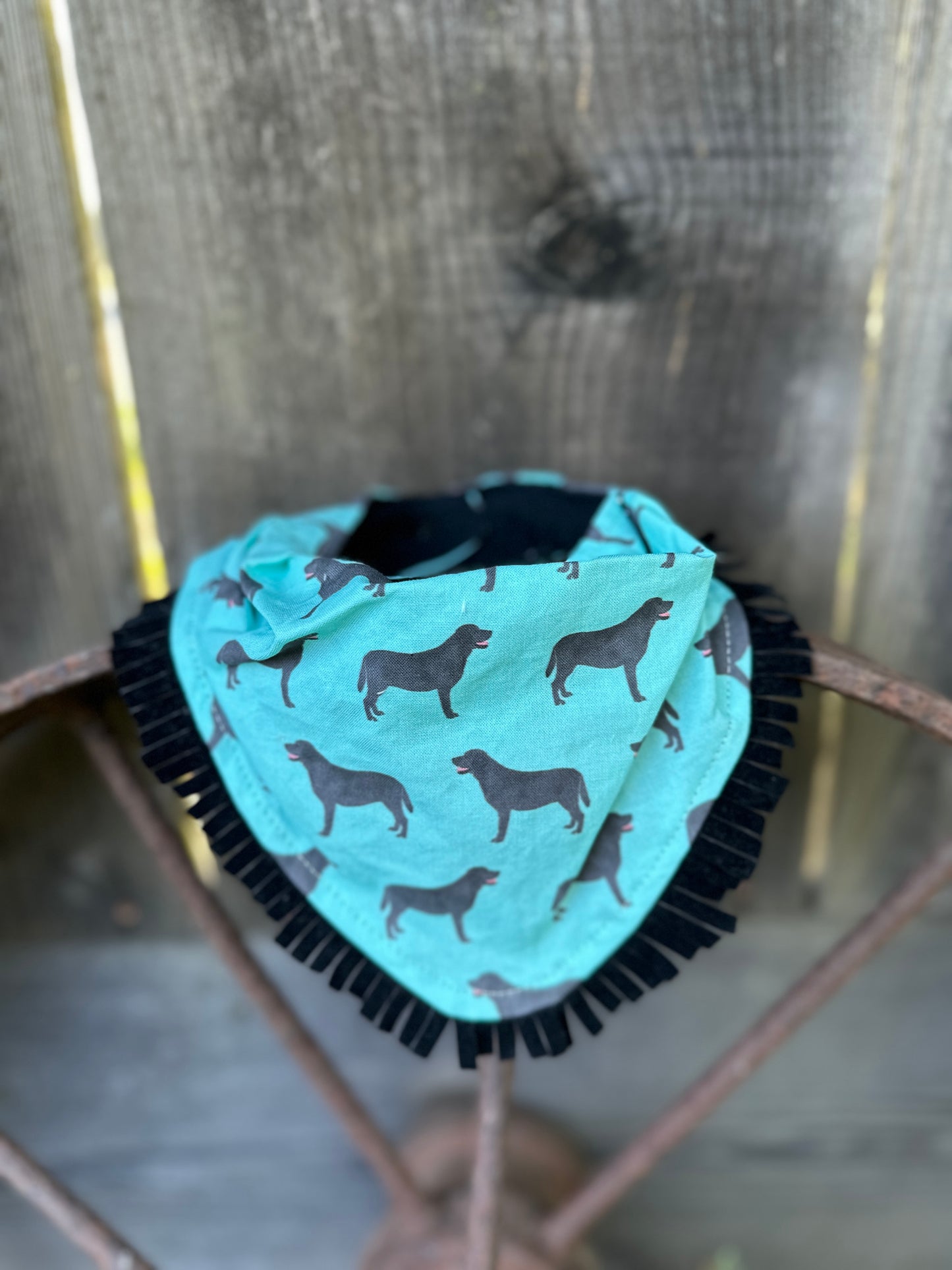 Turquoise Black Dog Buckaroo Baby Bib