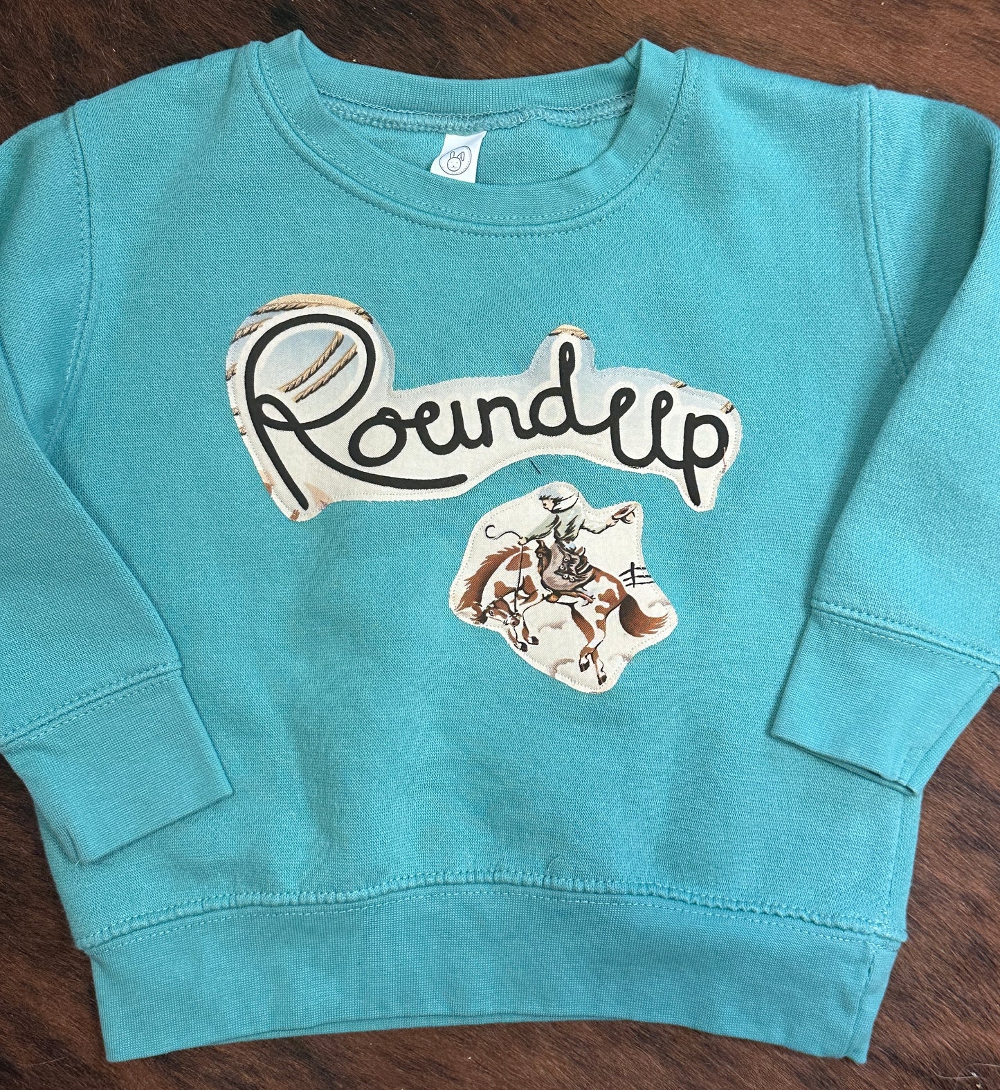 Roundup Sweatshirt, Size 2T