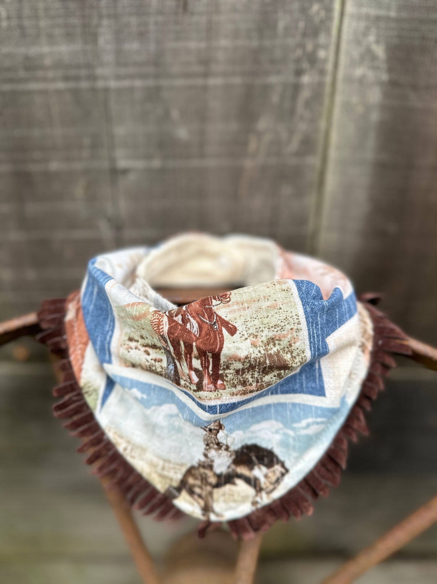 Wild West Broncs Bib/Burp Cloth Set