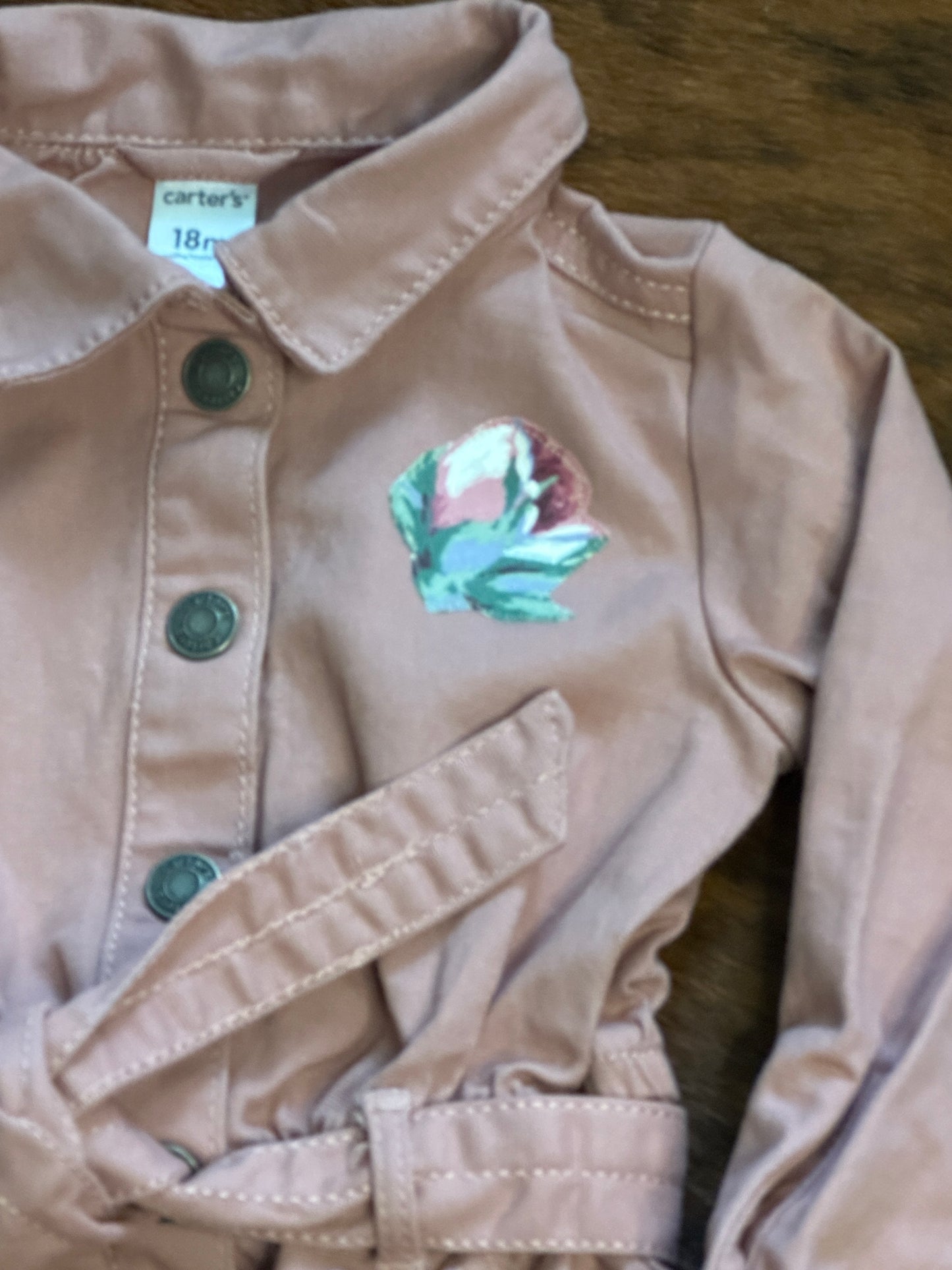 Horse Portrait and Roses on Pink Jumpsuit, Size 18 mons. #3