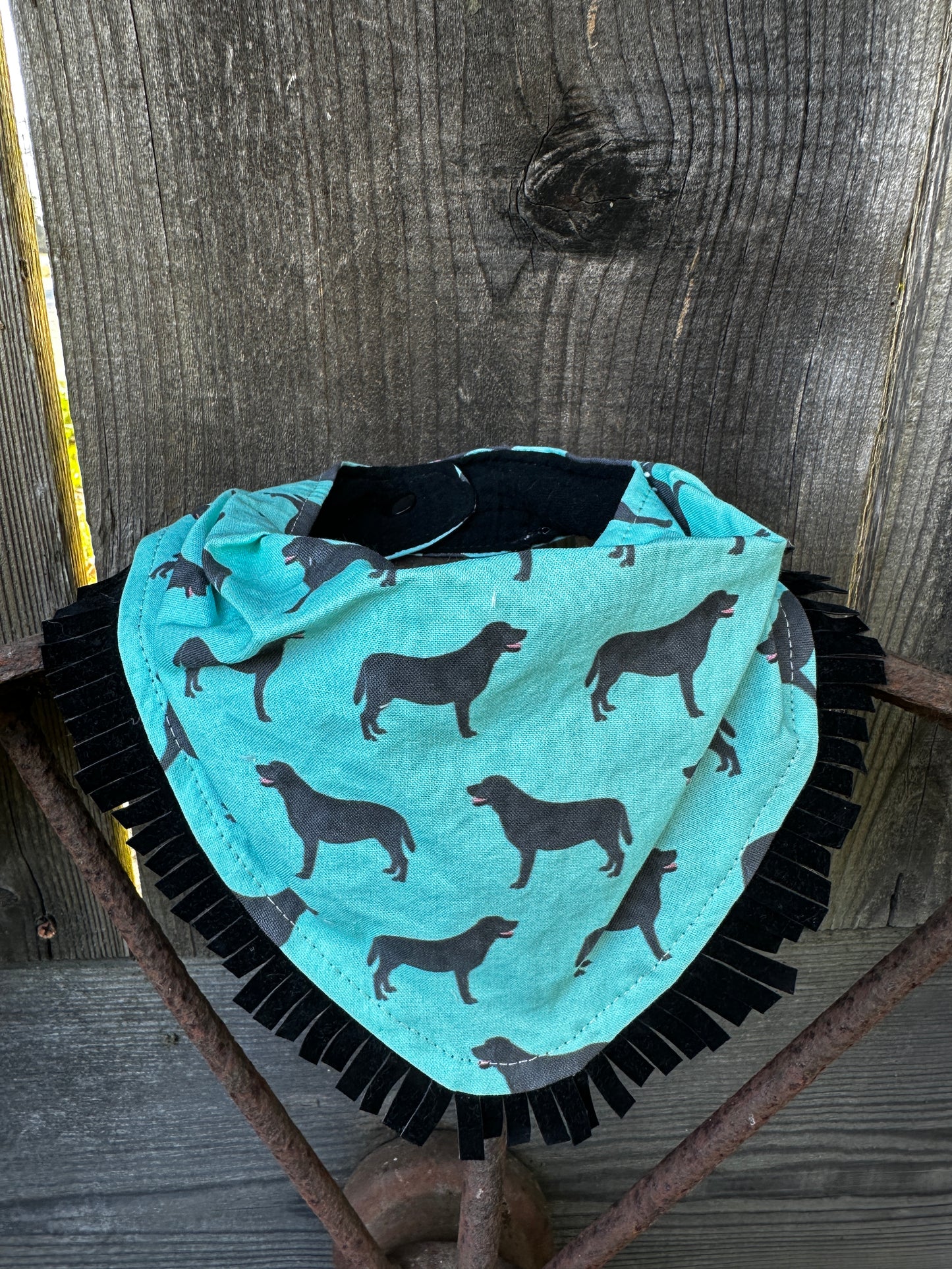 Turquoise Black Dog Buckaroo Baby Bib