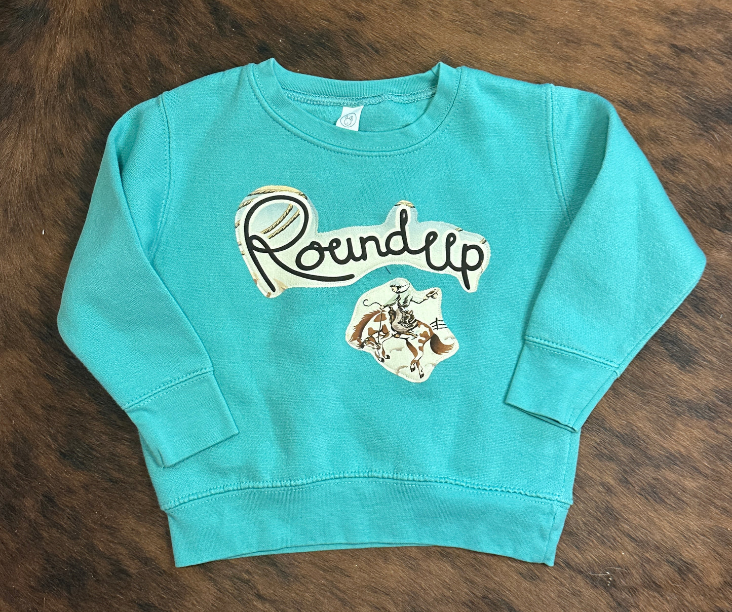 Roundup Sweatshirt, Size 2T