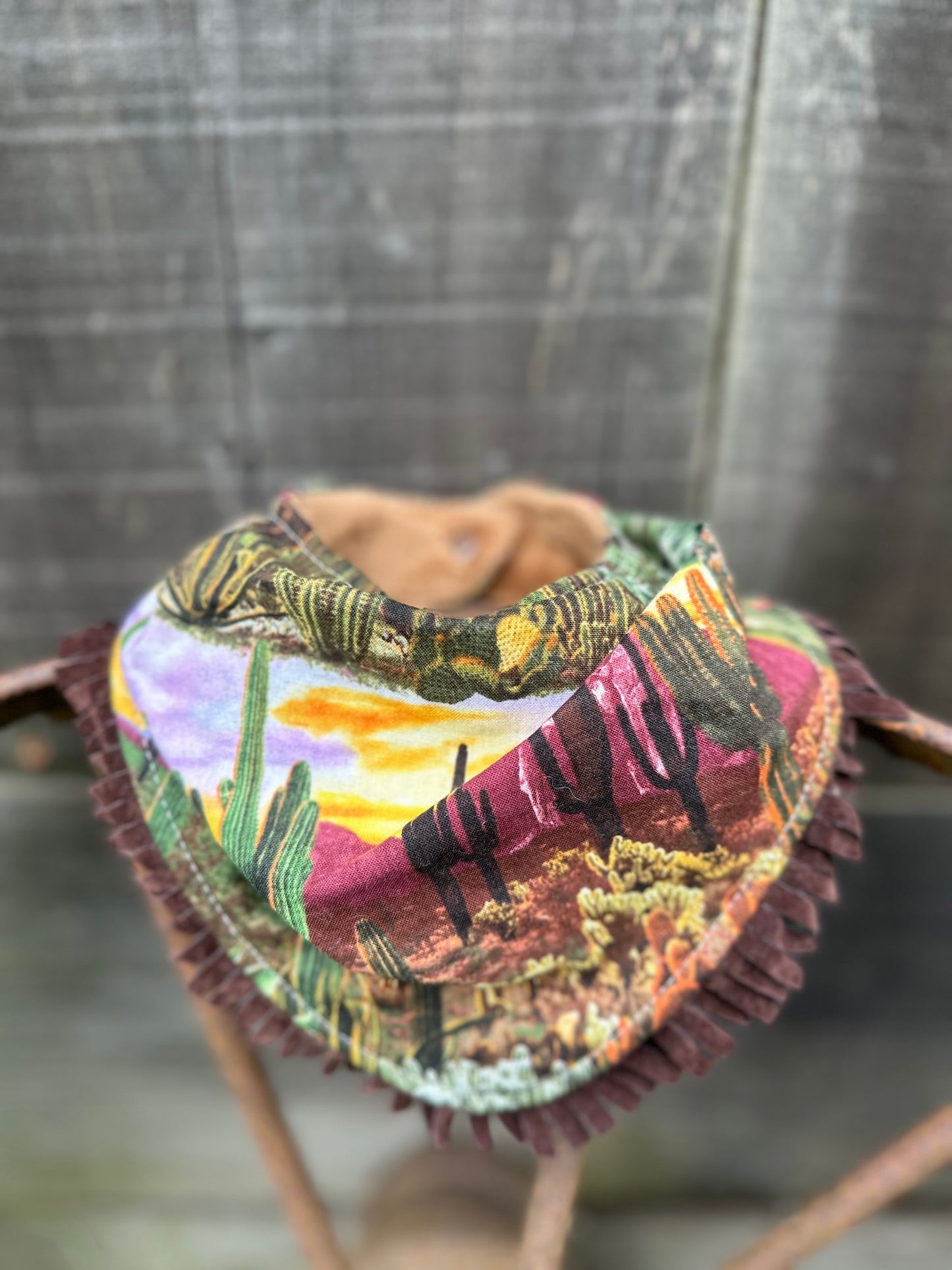 Desert Sunrise Buckaroo Baby Bib