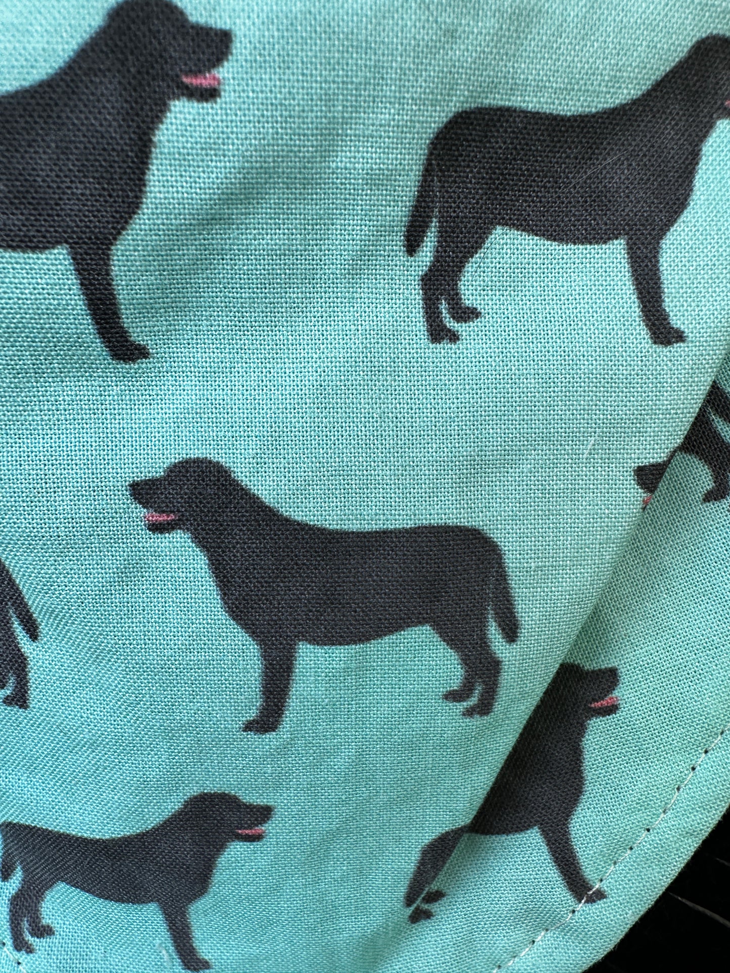 Turquoise Black Dog Buckaroo Baby Bib