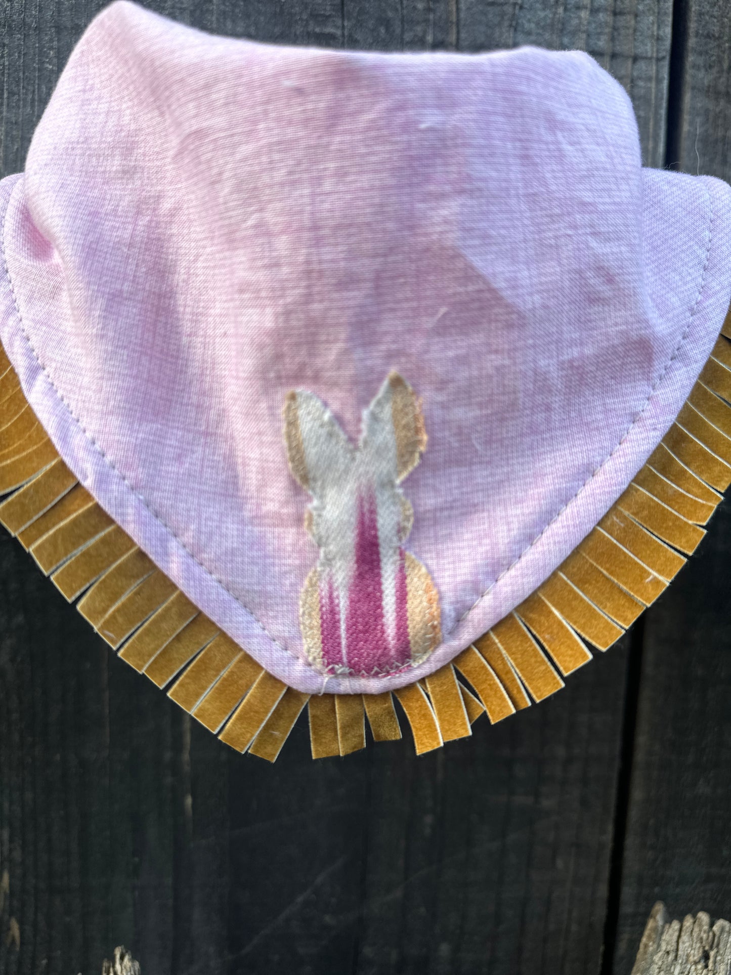 EASTER Serape Bunny on Pink Buckaroo Baby Bib